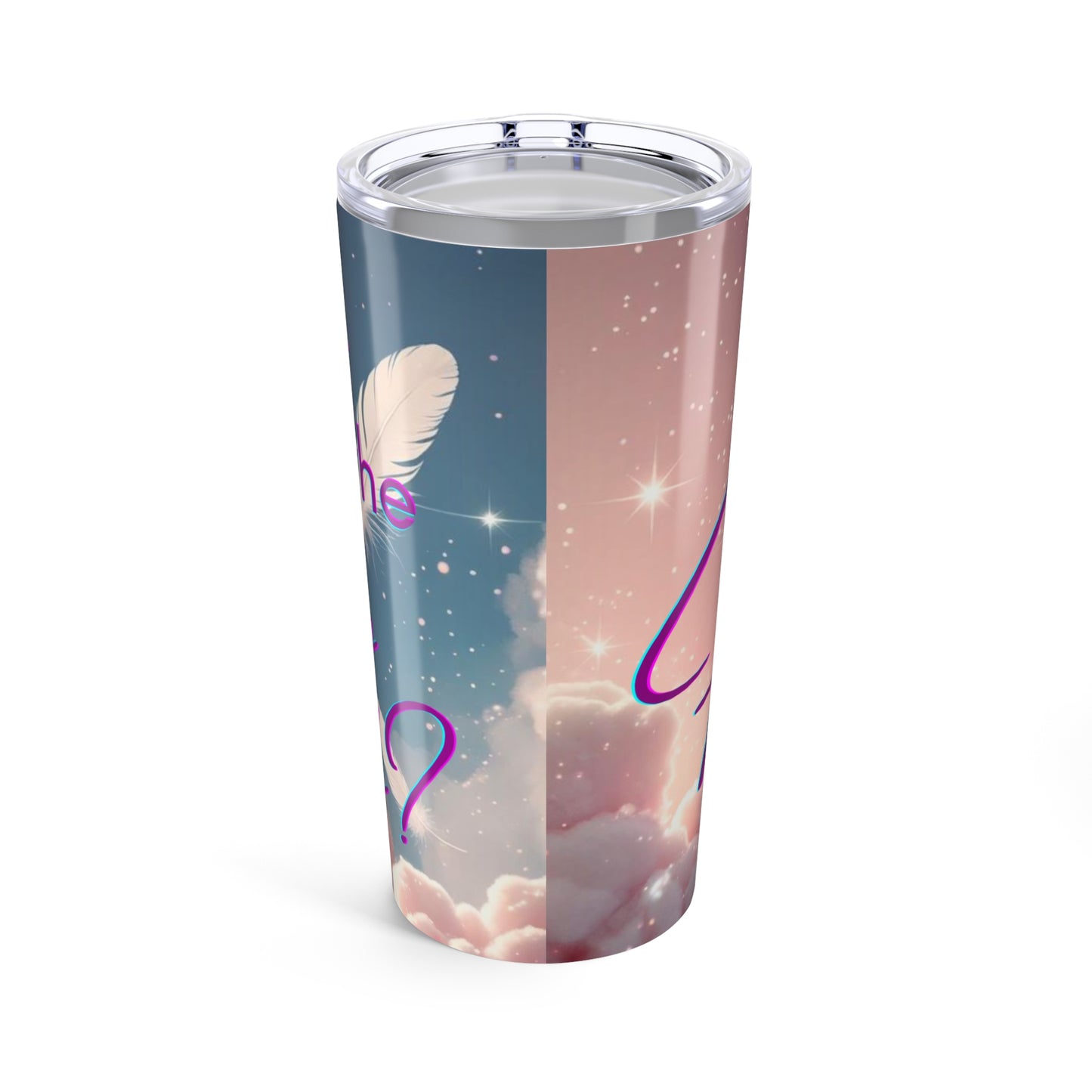 What in the Heavenly Heck Befuzzled Tumbler 20oz