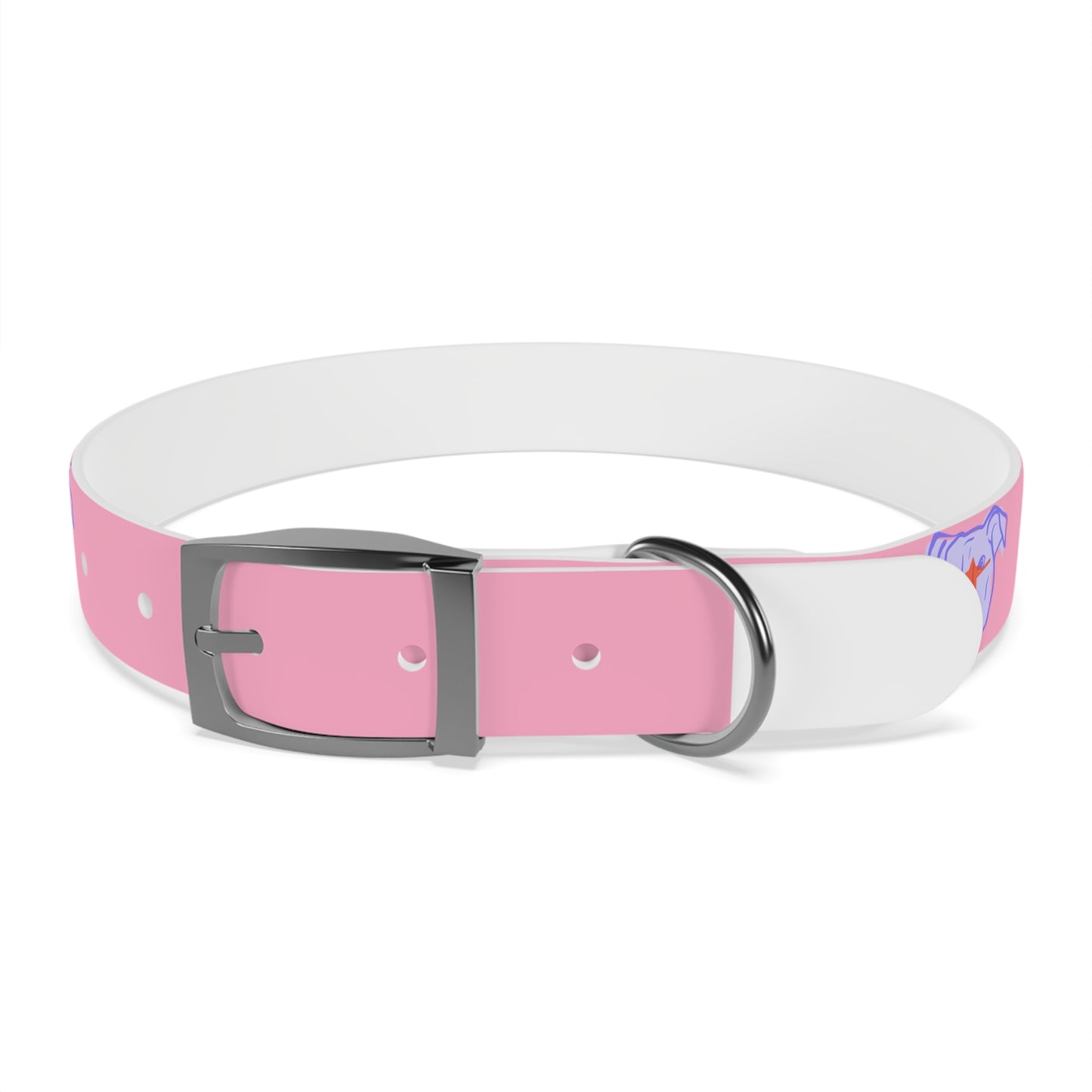 Dog Collar