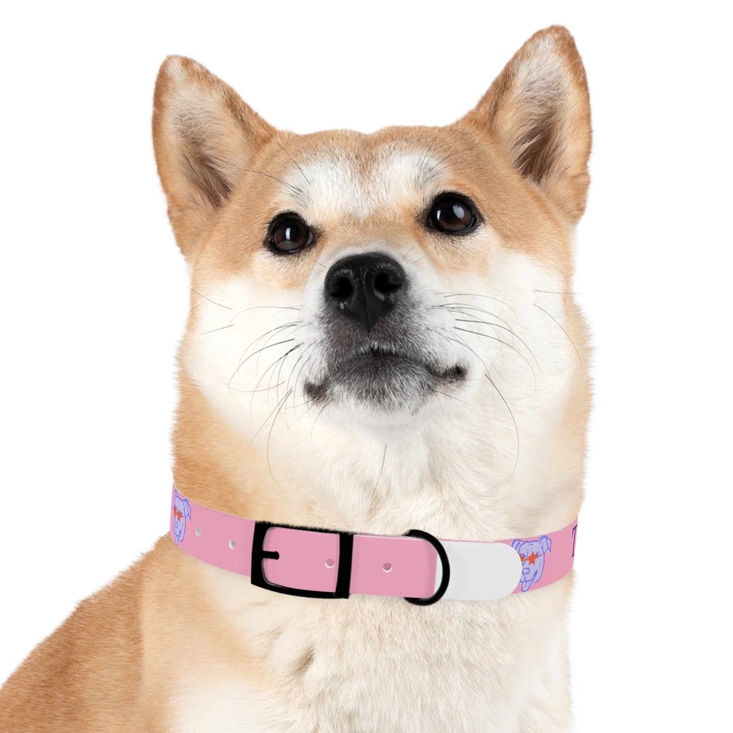 Dog Collar