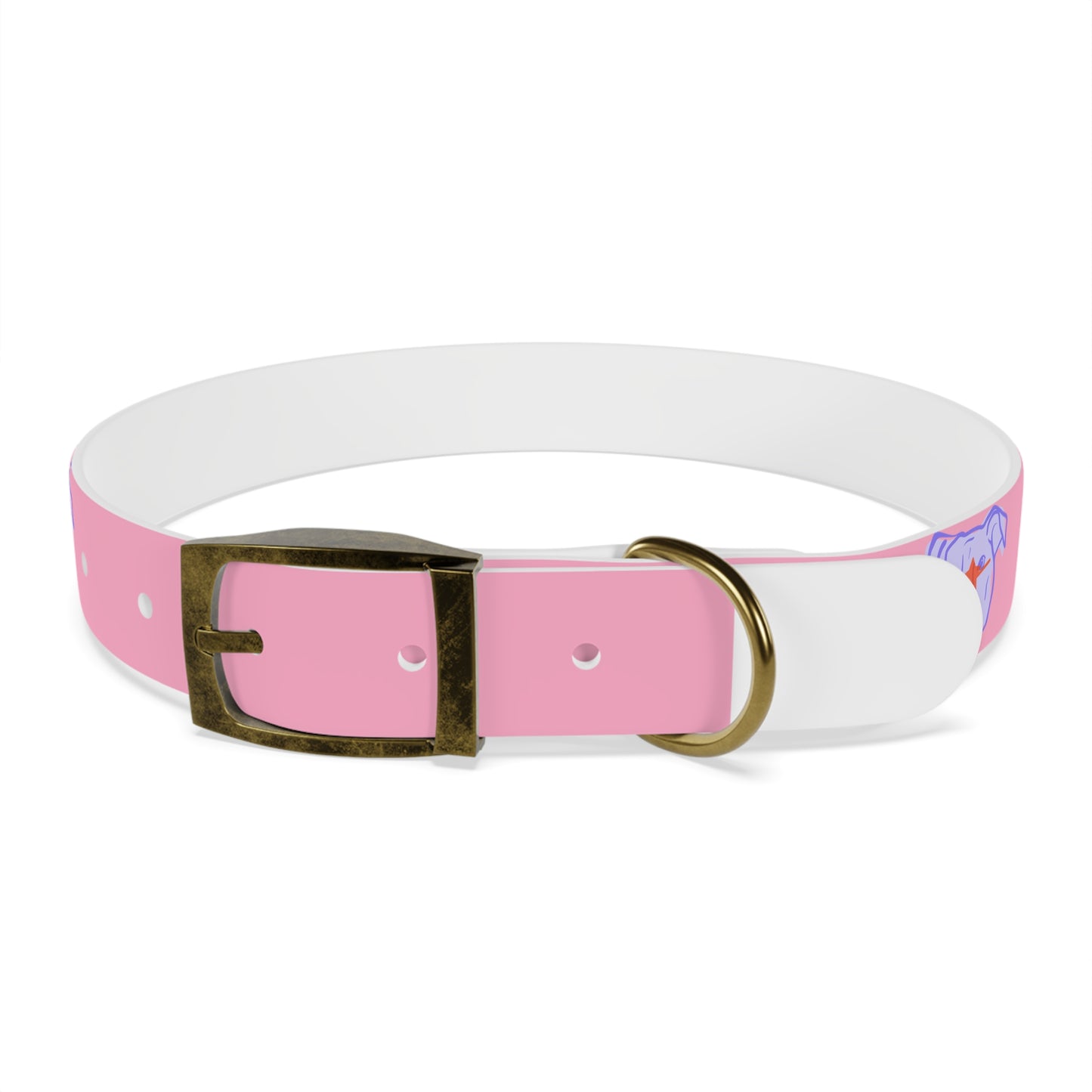 Dog Collar