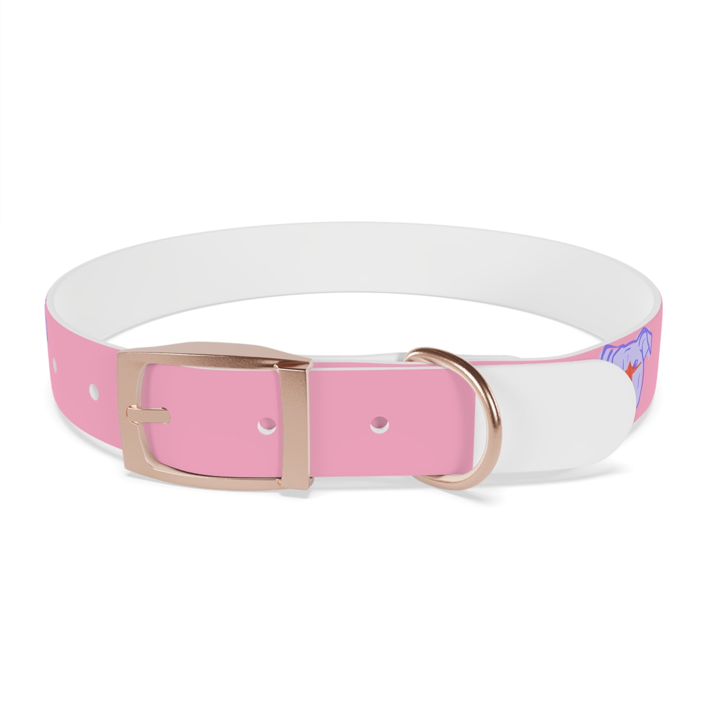 Dog Collar