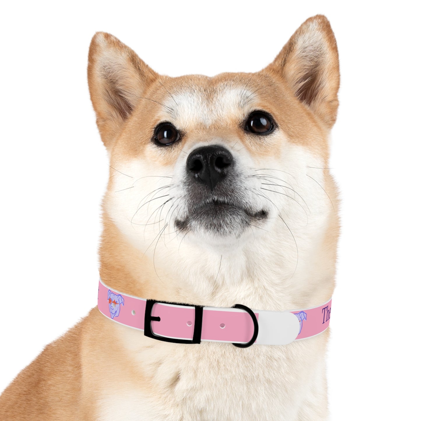 Dog Collar