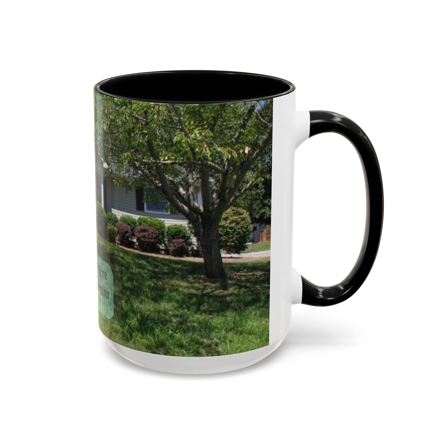 Accent Coffee Mug (11, 15oz)